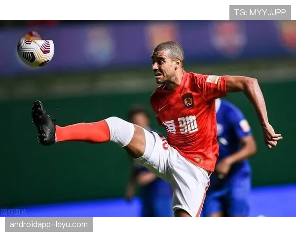 挪威队球迷北欧雄狮